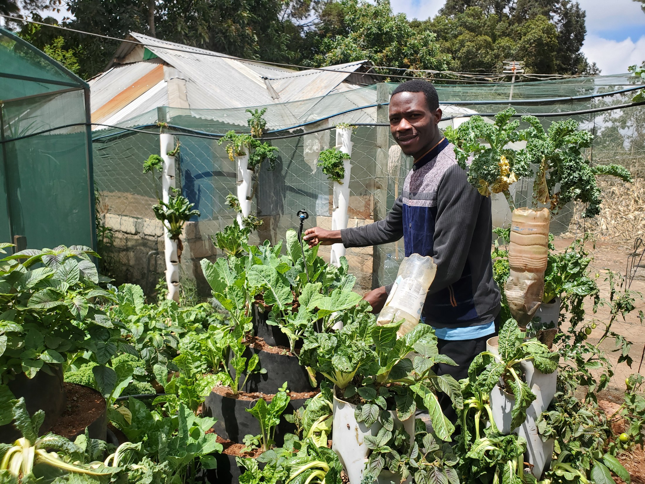 Grow Minds Uganda Chief Executive Officer standing in the organization's vertical garden