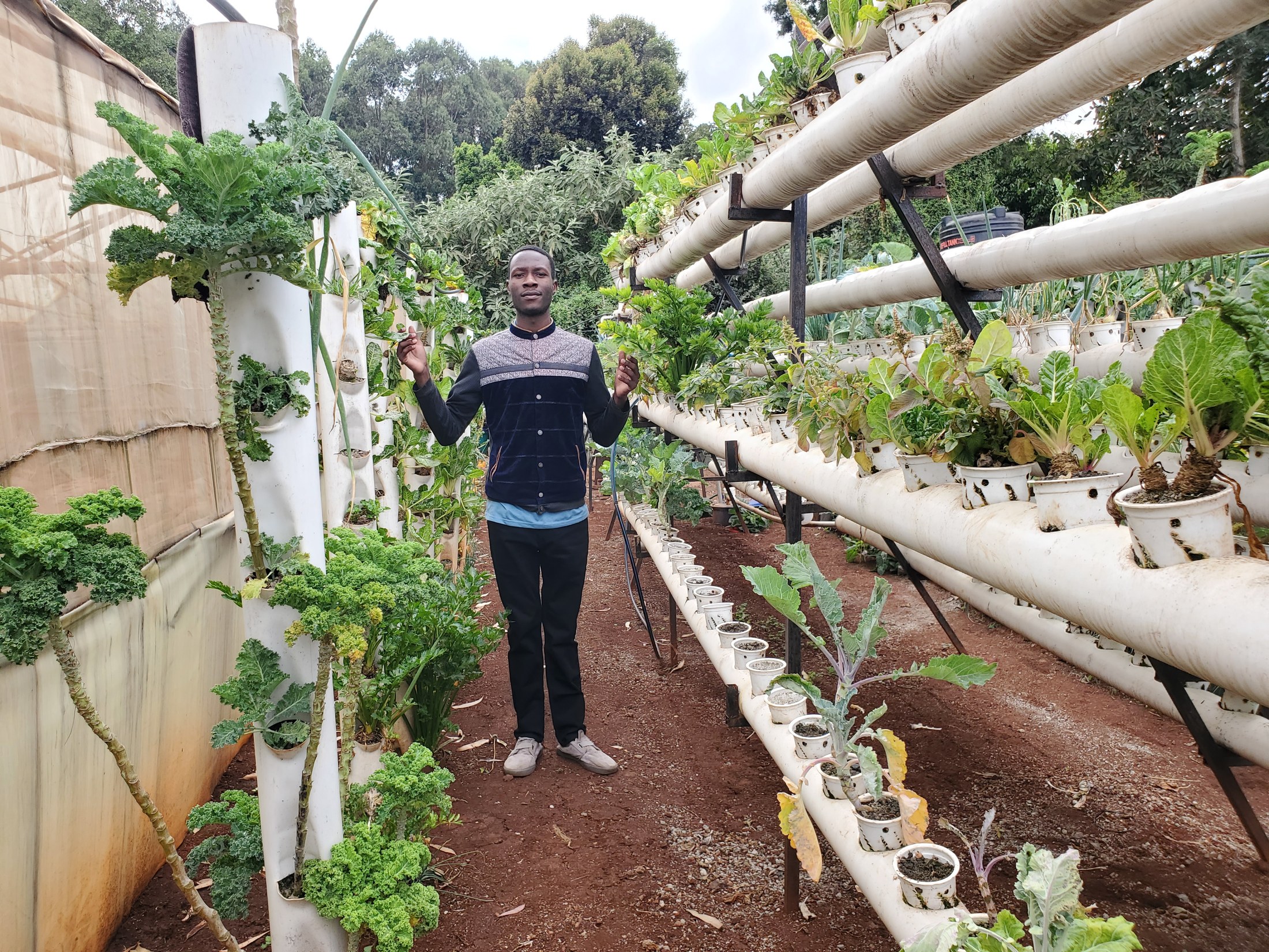 Grow Minds Uganda CEO standing among the organization's hydroponic growing channels